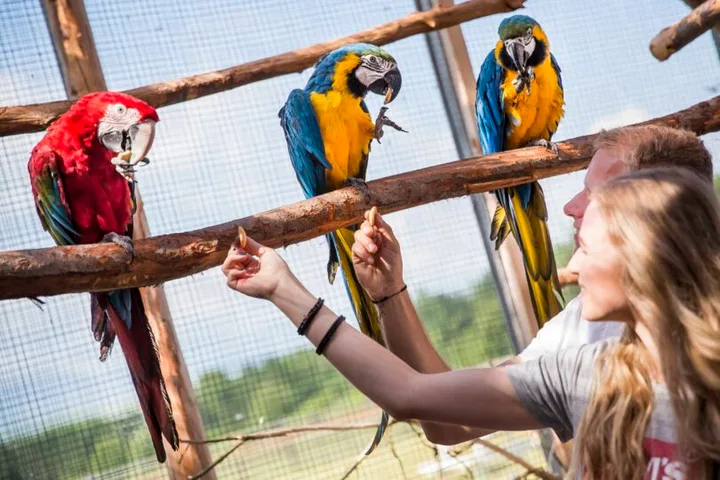 ZOO kontakt – školský výlet