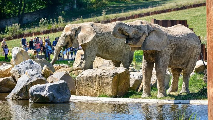 ZOO Zlín – školský výlet